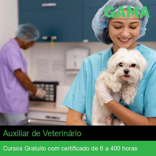 Auxiliar de Veterinário